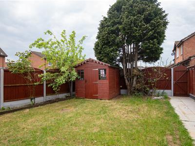 Picture 20